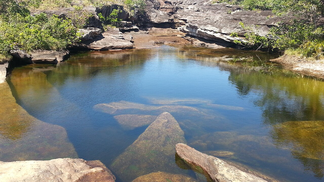 Macarenia clavigera tiñendo de rojo Caño Cristales